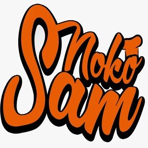 Logo NOKO SAM